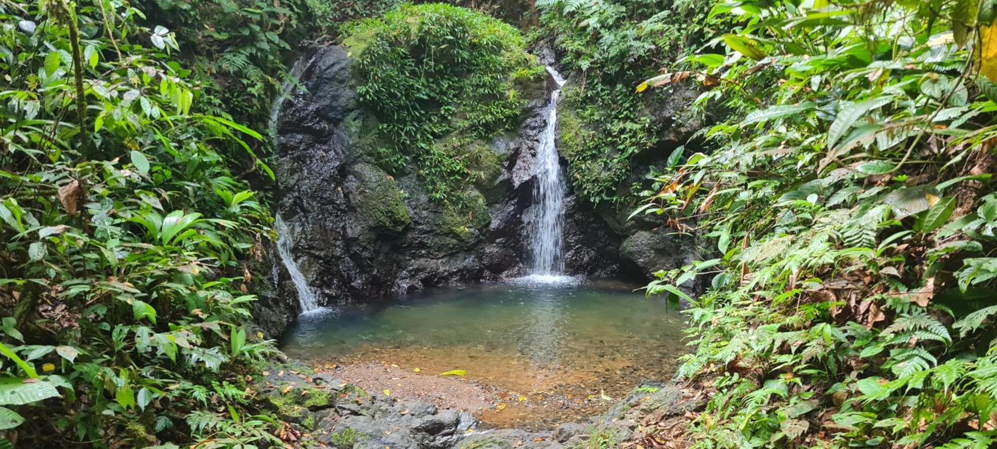 La Jovisena Nuquí